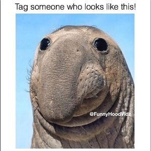 Meet your Posher, Christian